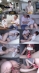 stills