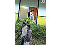 stills